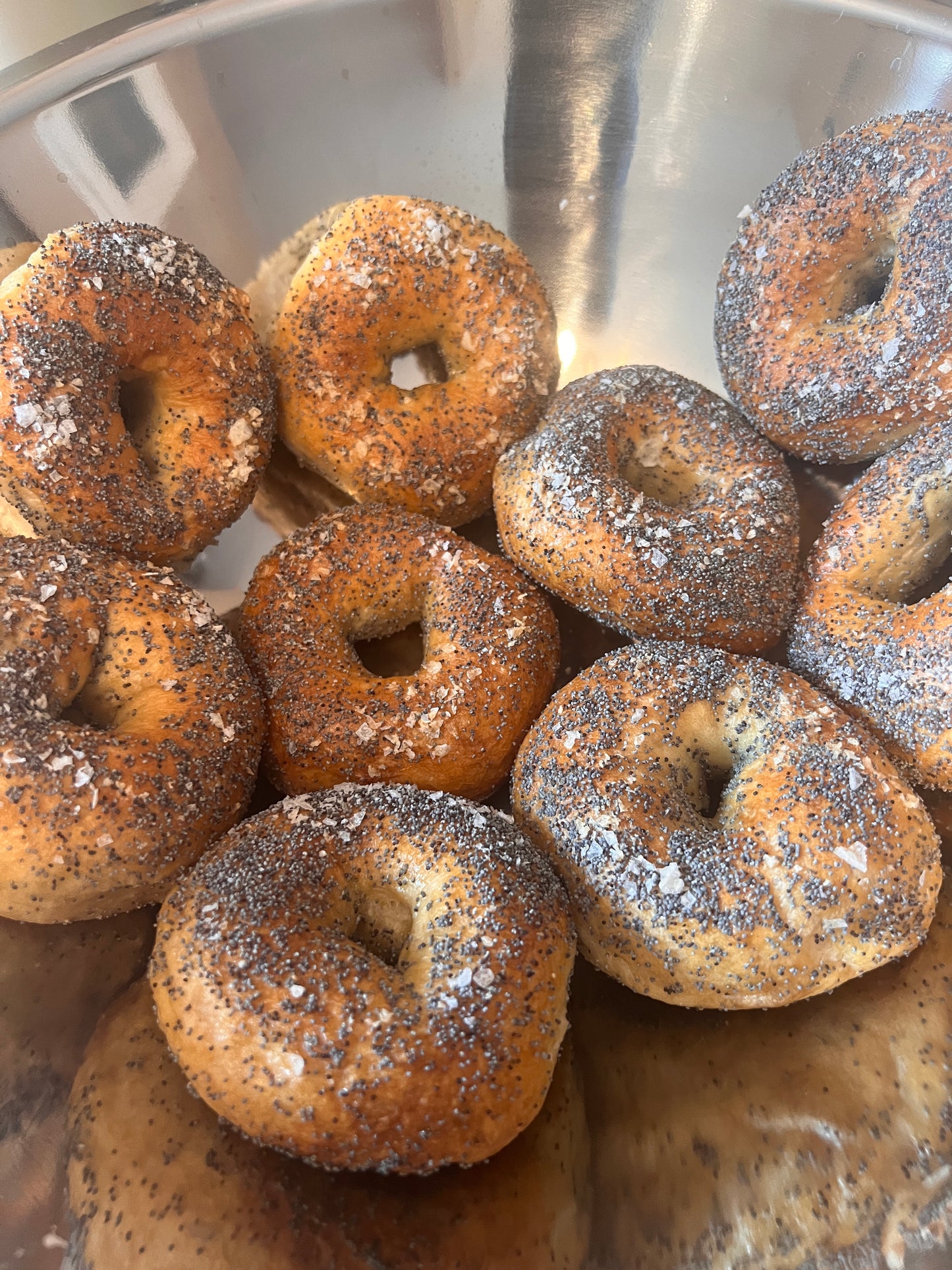 New York Style Poppy Seed Bagels - Dozen