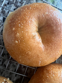 The Gathering - New York Style Bagels - Dozen
