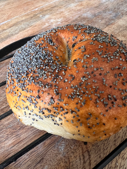 New York Style Poppy Seed Bagels - Dozen