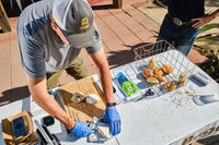 Bagel Pop-Up at Pioneertown Motel